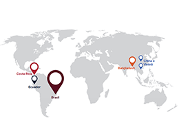 Níveis de arsênio (As) permitido em fertilizantes boratados no Brasil, em comparação ao mundo