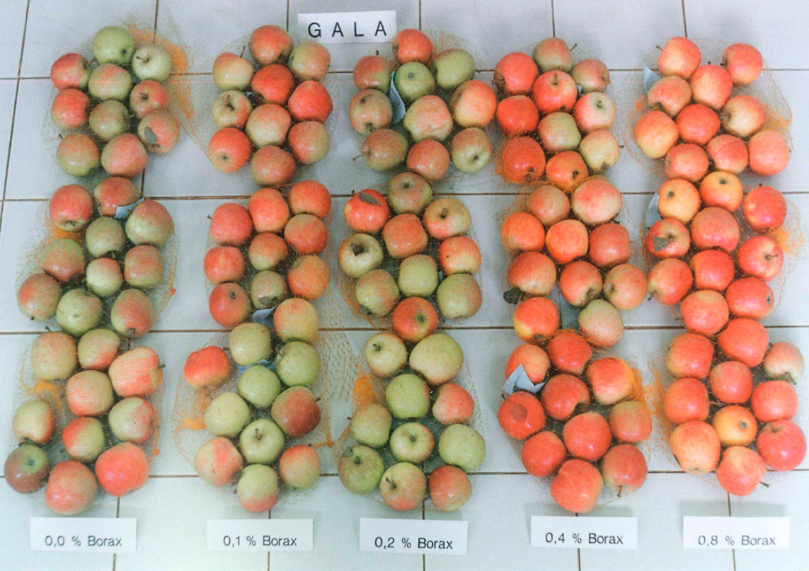 Frutos de maçã submetidos a aplicação foliar de U.S. Borax Solubor