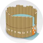 LEI DE LIEBIG&nbsp;| Uma deficiência de boro prejudica a absorção de macronutrientes essenciais