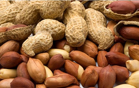 Aplicações de boro visando ao aumento da qualidade e do rendimento da produção do amendoim