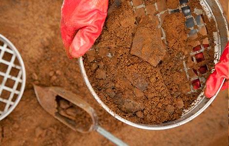 Reação do boro nos solos