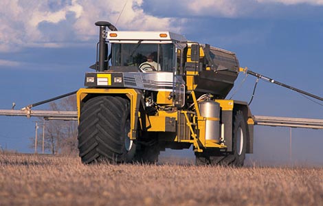 Para obter uma produção ideal, fertilize antes que apareçam os sintomas da deficiência de boro