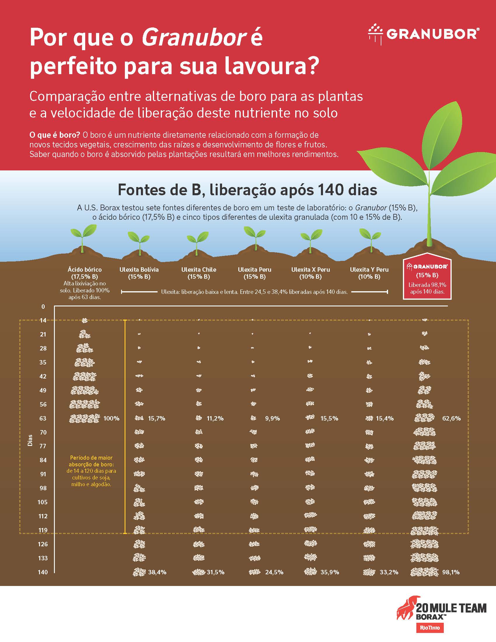 Fontes de B, liberação após 140 dias: A U.S. Borax testou sete fontes diferentes de boro em um teste de laboratório: o Granubor (15% B),o ácido bórico (17,5% B) e cinco tipos diferentes de ulexita granulada (com 10 e 15% de B).