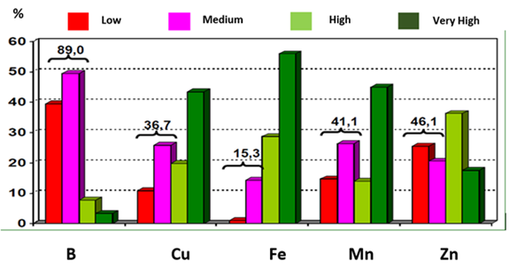 Chart of Brazilian soil components